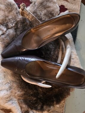 Bellini Dark Brown Pointed-Toe Leather Pumps